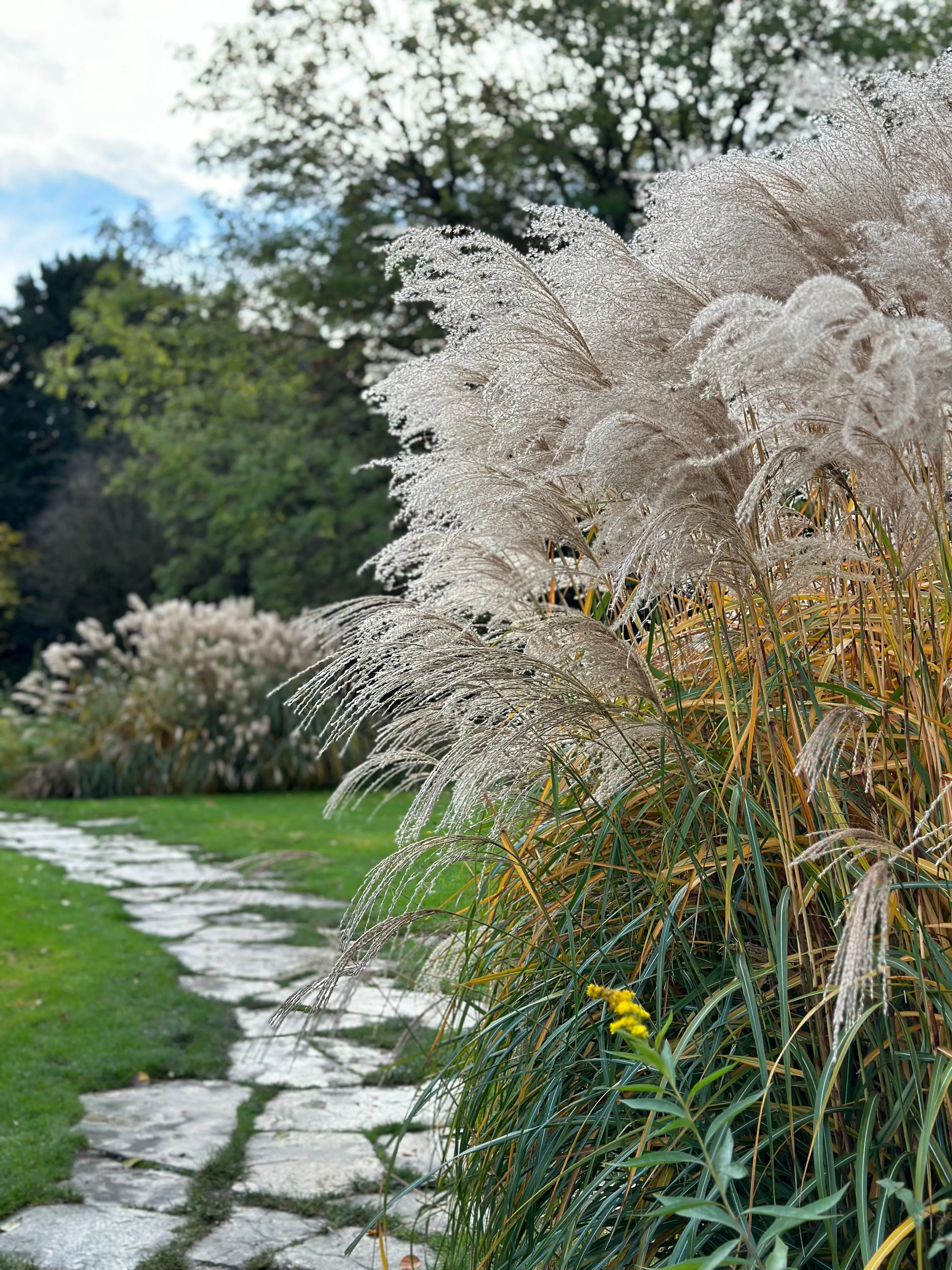 Projekt Bild: Gartengestaltung